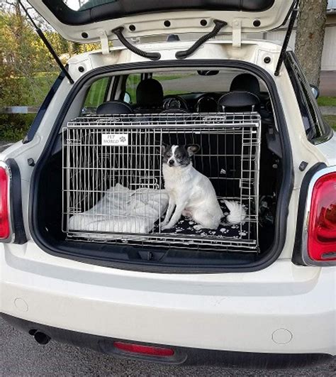 car crates for dogs reviews